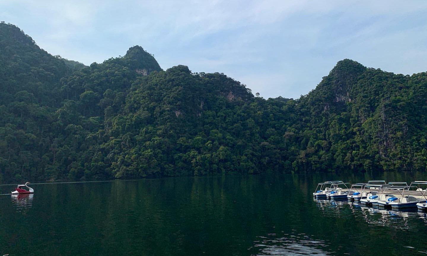 蘭卡威孕婦島（Dayang Bunting Island）私人遊覽 & 叢林徒步 & 游泳體驗