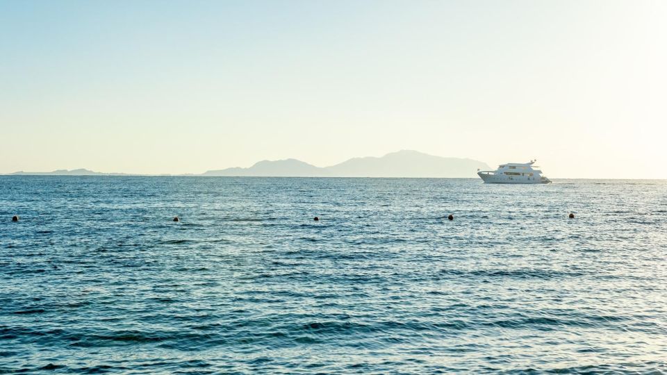 蒂朗島私人快艇之旅（沙姆沙伊赫出發）