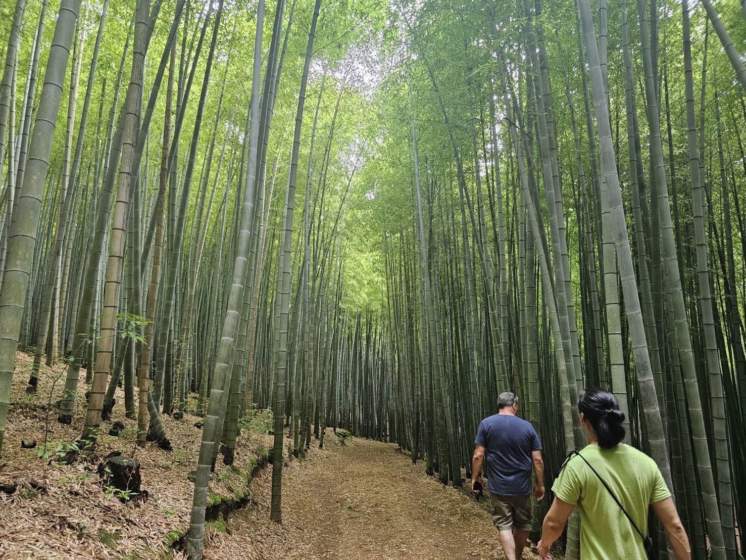 Small-Group Busan Tour with Sky Capsule and Hotel Pickup