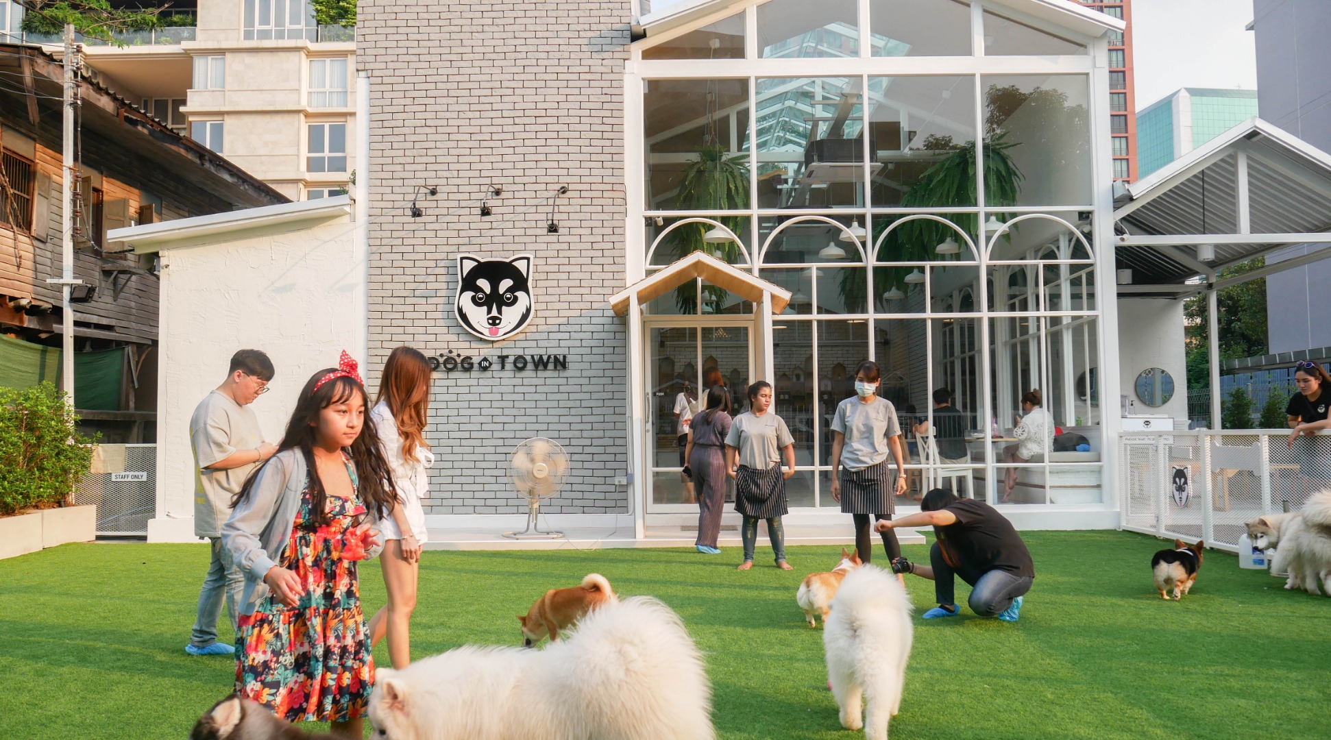 [SALE] Dog In Town in Ekkamai and Ari Sale 10 Ticket KD