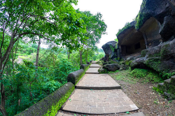 坎赫里石窟和冥想中心 (Kanheri Caves and Meditation centre)