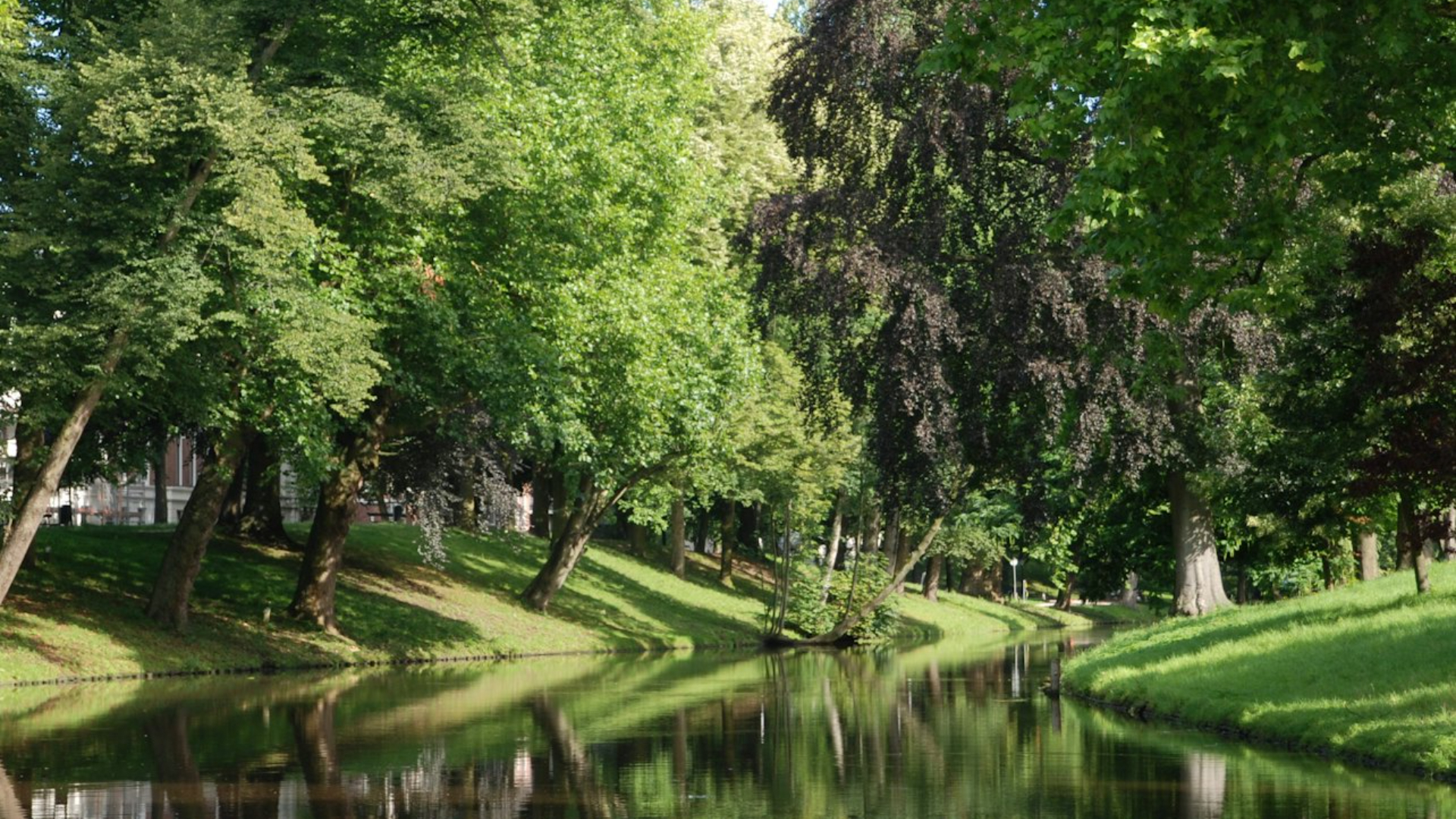 Canal cruise tour in Utrecht