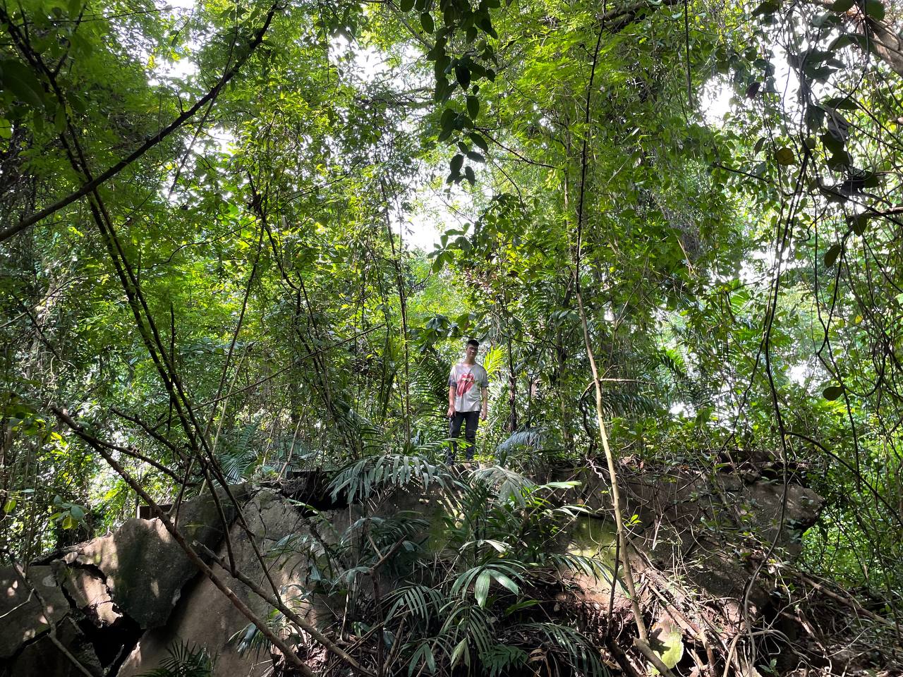 Hidden Hiking Trails in Singapore