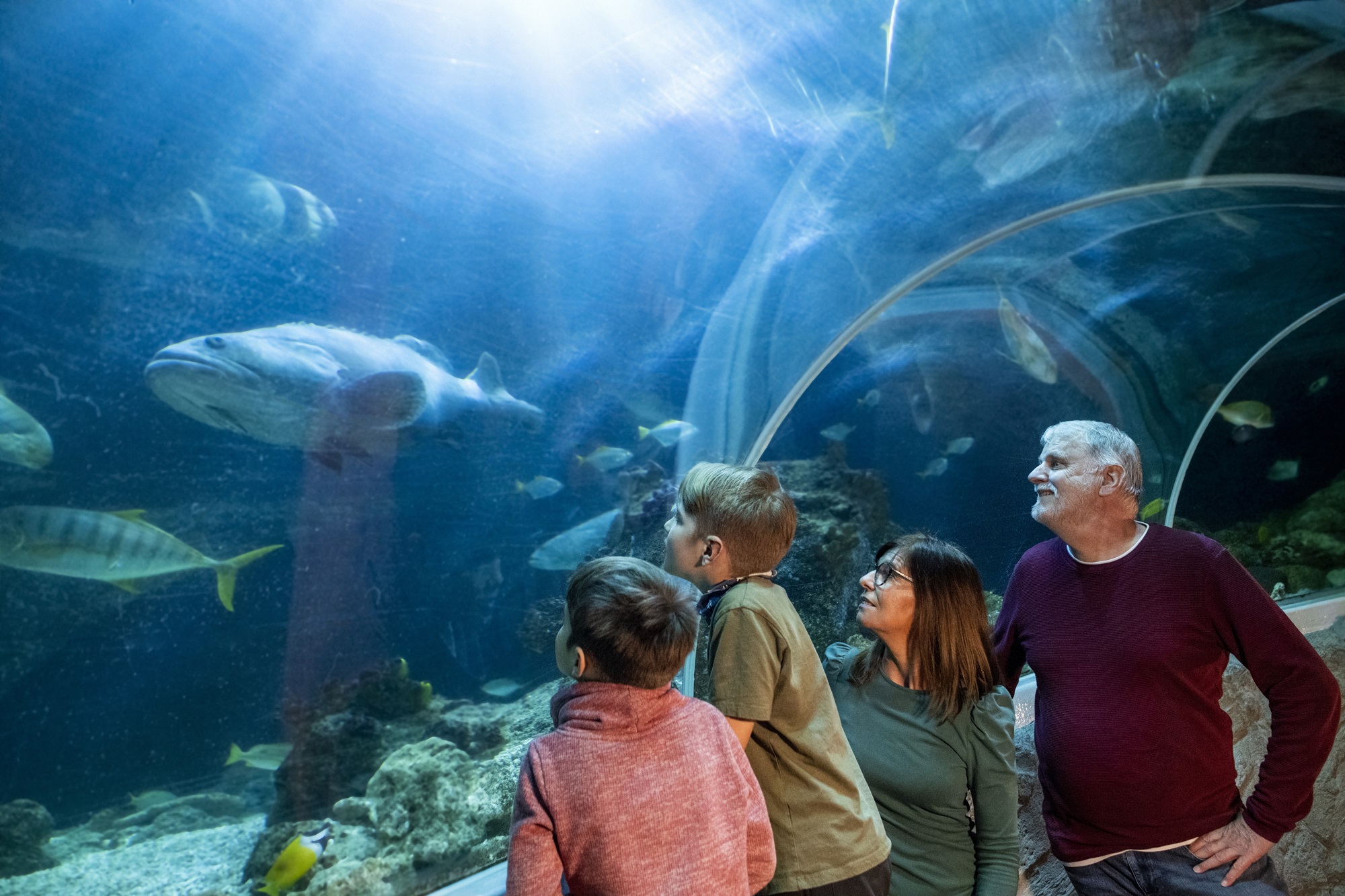 柏林 SEA LIFE 水族館門票