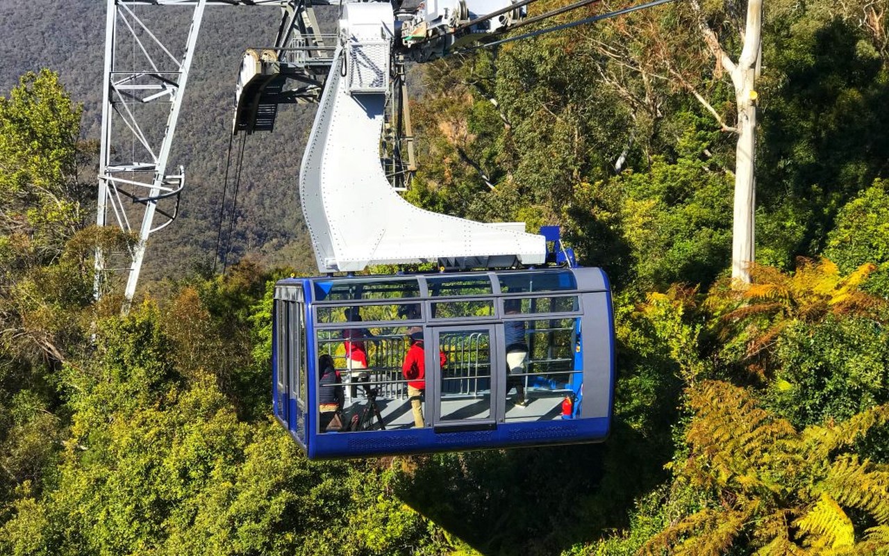 翱翔天際，探索令人驚嘆的森林樹冠美景與雄偉山峰。