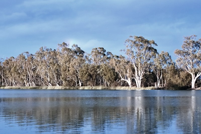 3-Day 4WD Safari Tour in SA Riverland, Murray River & National Parks