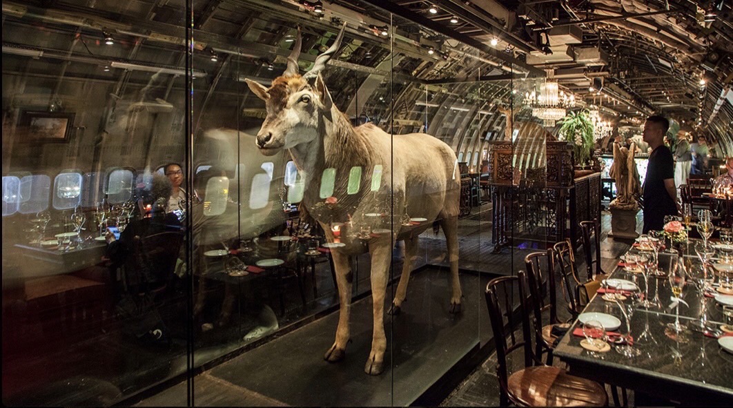 Immersive dining expirience at Na-oh Bangkok 