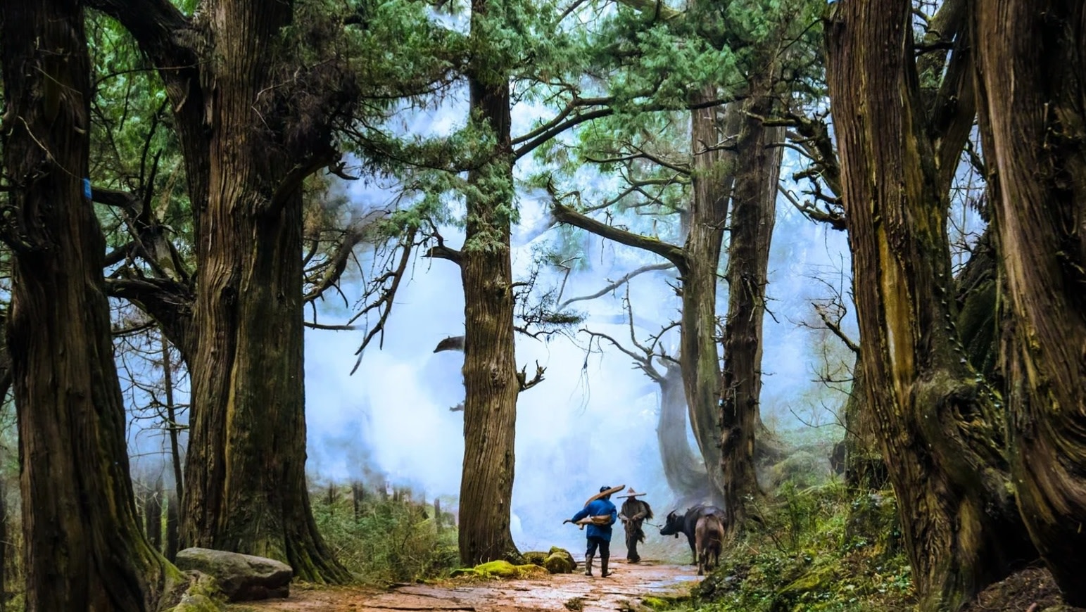 Guangyuan Jinniu Road Full-Day Private Cultural Tour