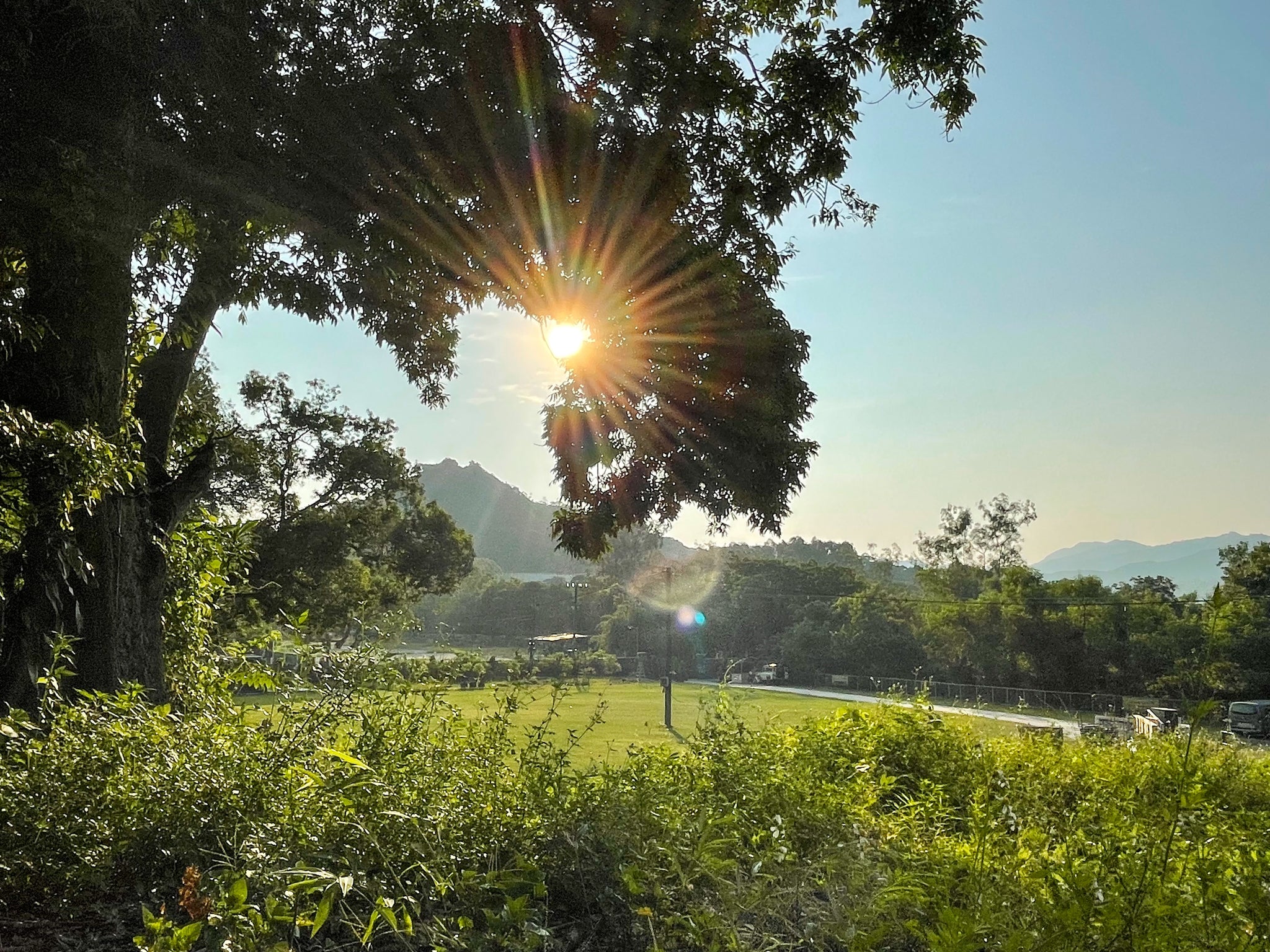 【香港Camping好去處】Autocamper 紅花嶺Safari Land｜露營場地