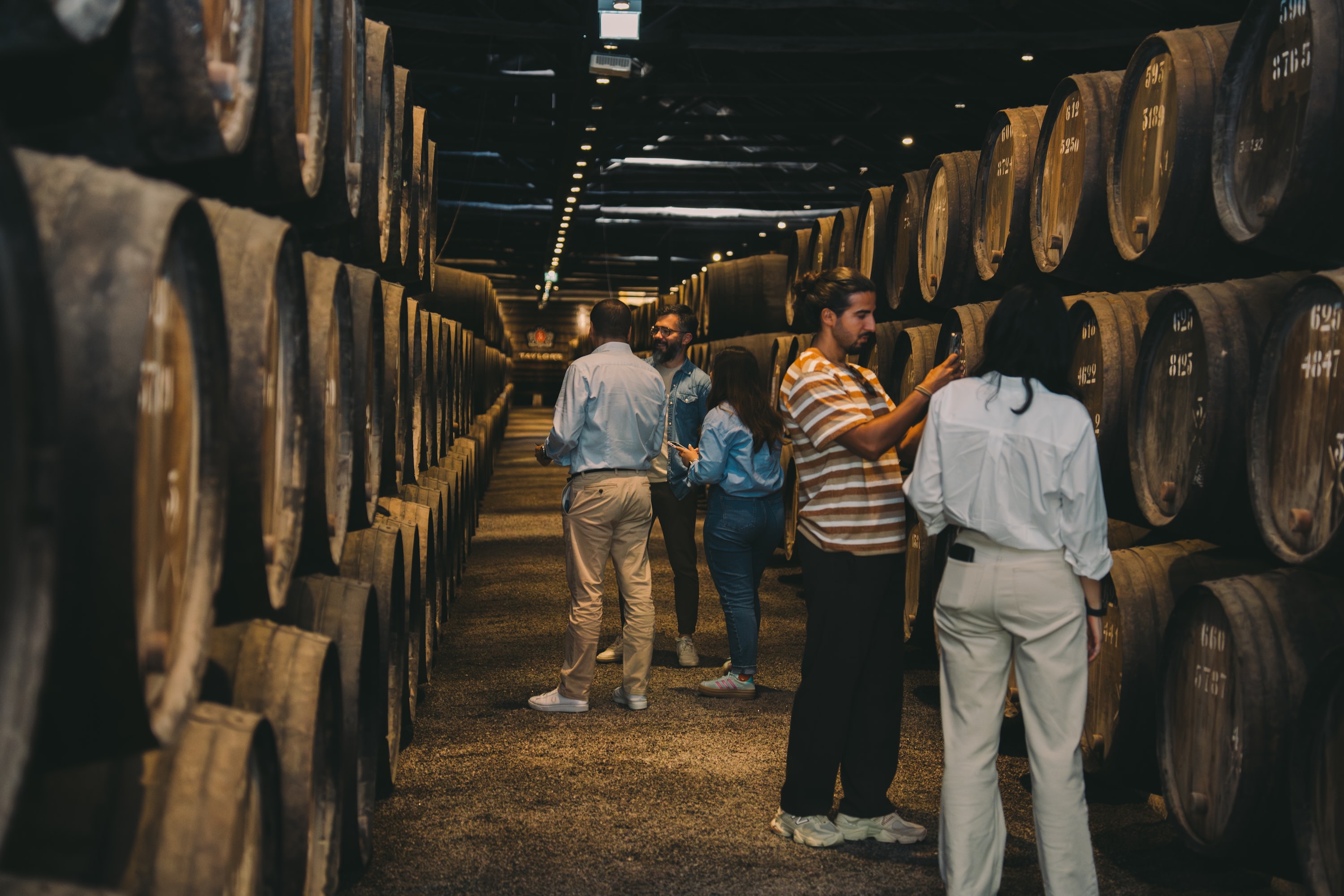 Taylor's Port Cellars Ticket and Tasting in Porto