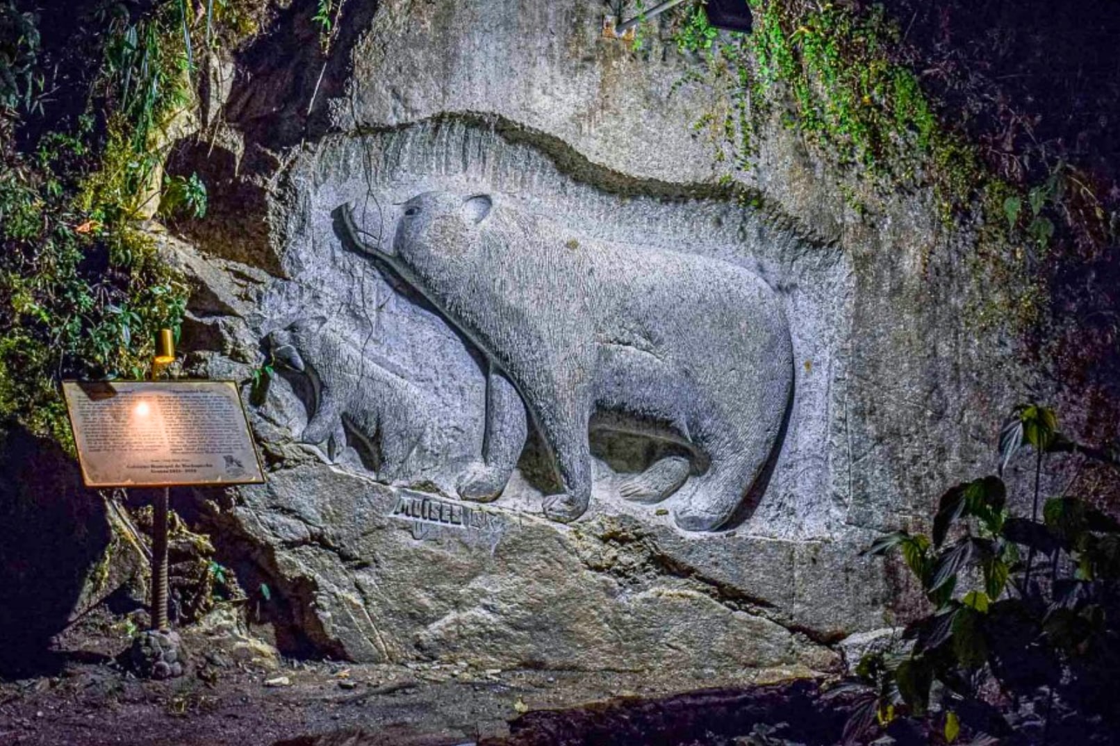 Enjoy some free time to have lunch and explore more of the town of Aguas Calientes.