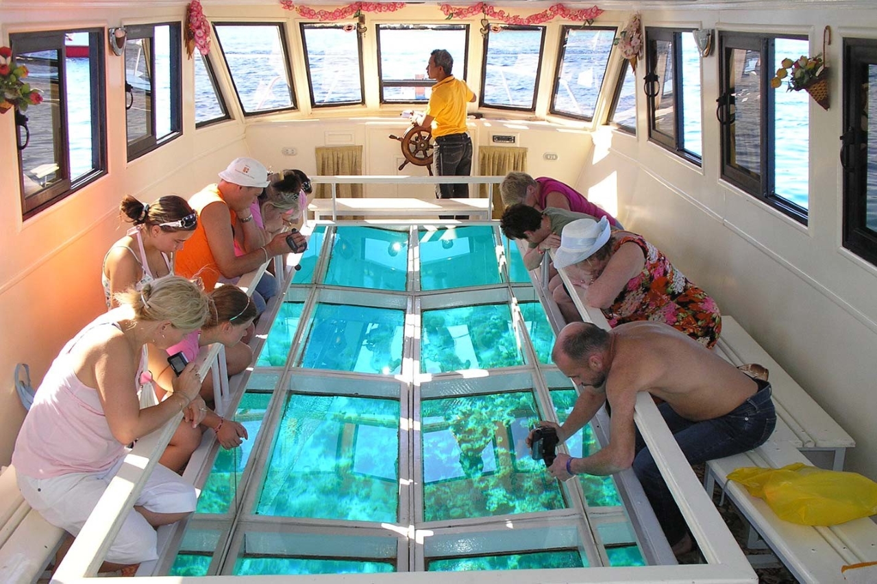 1 hour Glass Boat Sea Trip With Transportation - Sharm El Sheikh