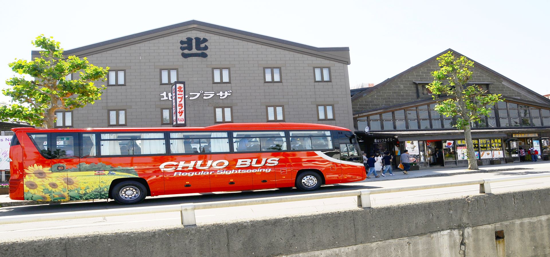 神威岬和積丹半島島武意海岸觀光 & 電視塔門票