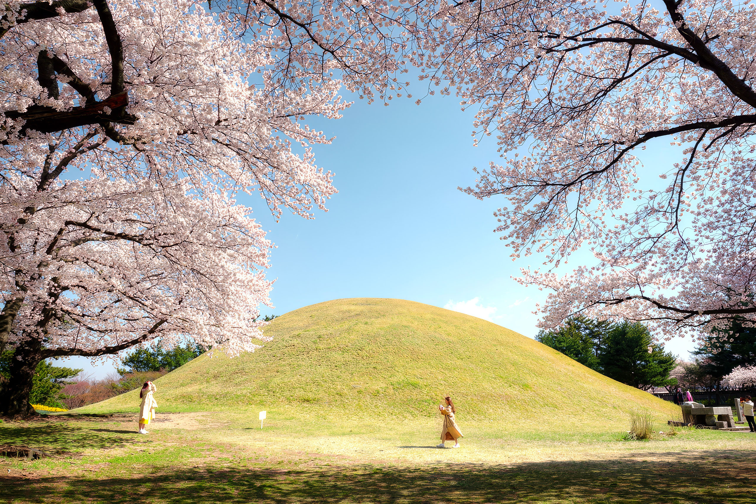 大陵苑,又稱作「皇陵公園」,是新羅王朝時期建造的陵墓群,內含 23 座陵墓。 大陵苑,又稱作「皇陵公園」,是新羅王朝時期建造的陵墓群,內含 23 座陵墓。