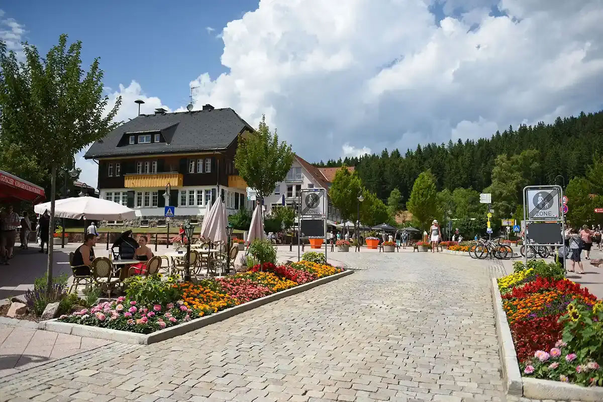 town of Titisee