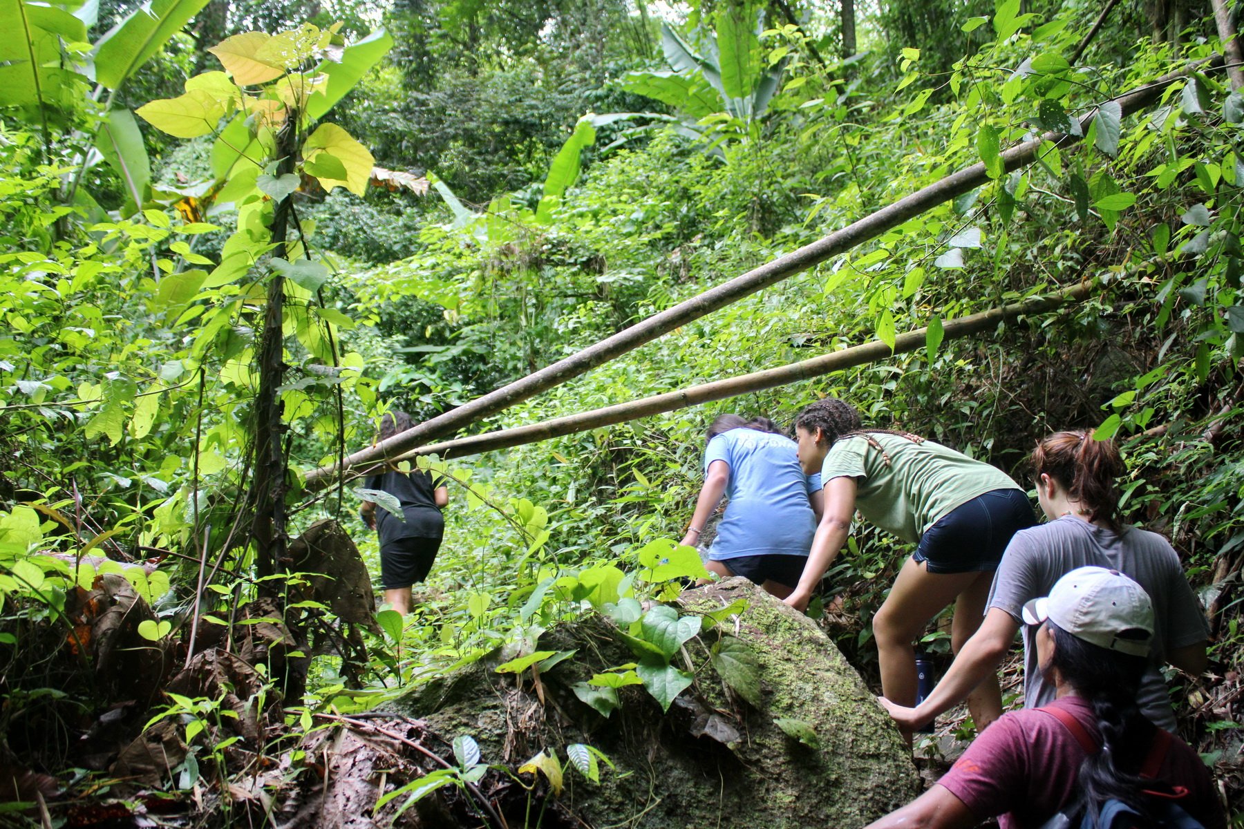 Hilltribe Hiking & Kayaking 1 Day Trip Mae Taeng