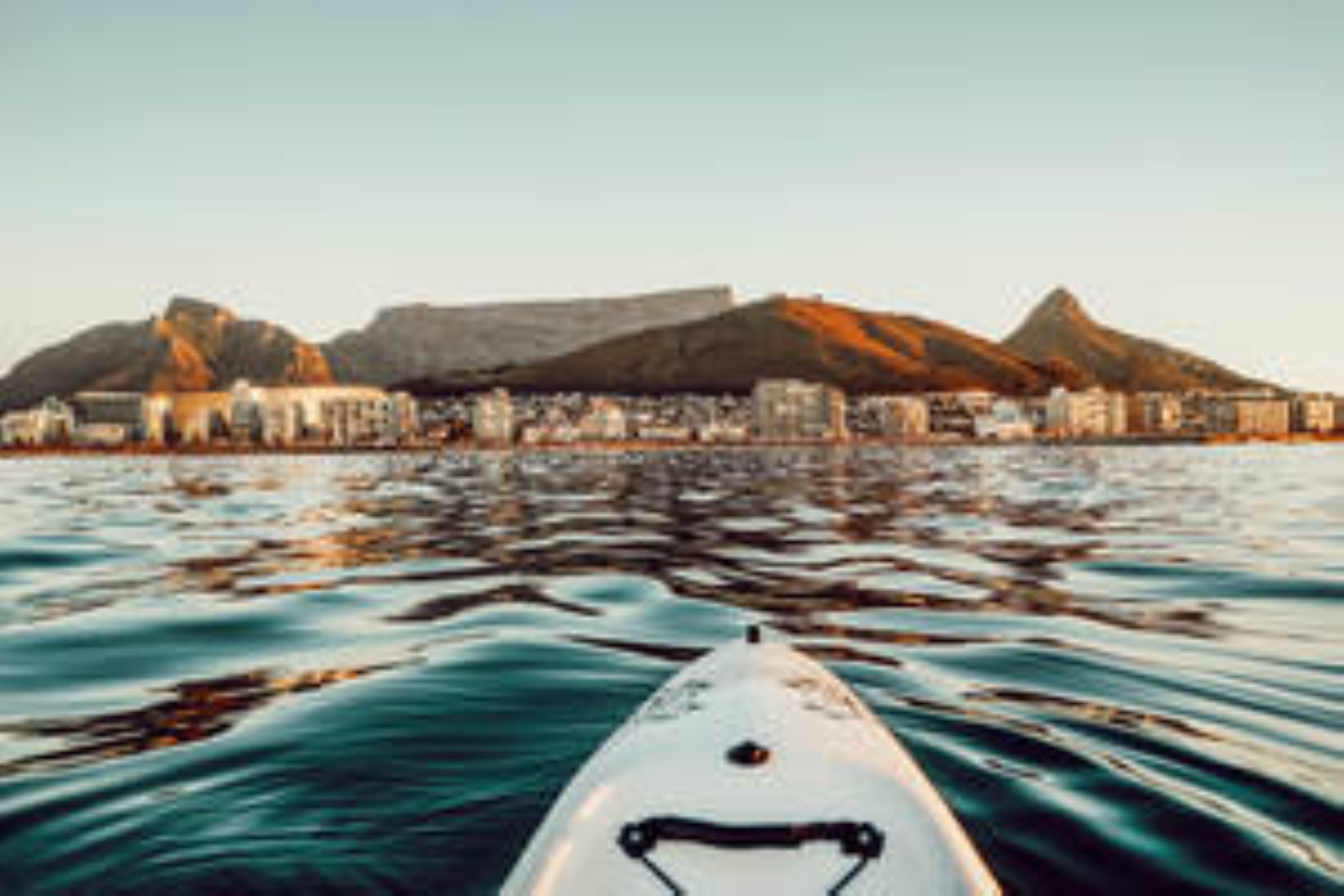 Kayak with Dolphins Experience in Cape Town