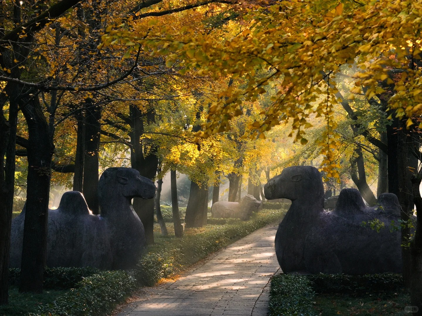 於明孝陵中漫步,蔥鬱草木與古樸陵寢相依相融,自然之美與歷史底蘊在此碰撞出別樣的人文盛景 於明孝陵中漫步,蔥鬱草木與古樸陵寢相依相融,自然之美與歷史底蘊在此碰撞出別樣的人文盛景