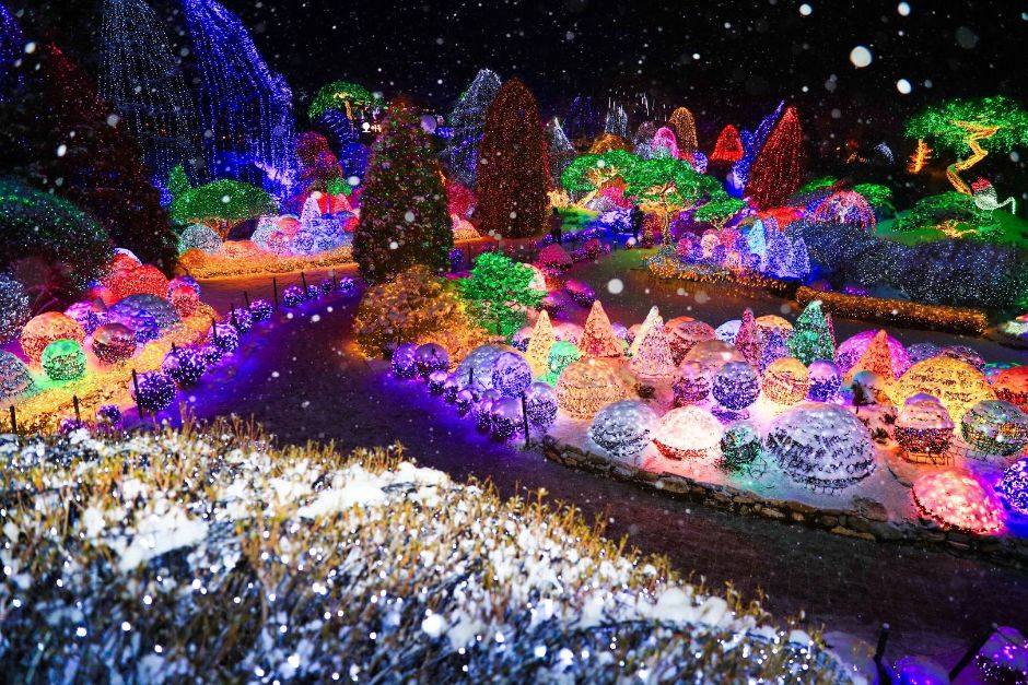 花園四季皆有不同風貌，從春日繁花、夏日綠意、秋日楓紅到冬日點燈，全年呈現溫和寧靜的迷人景色。