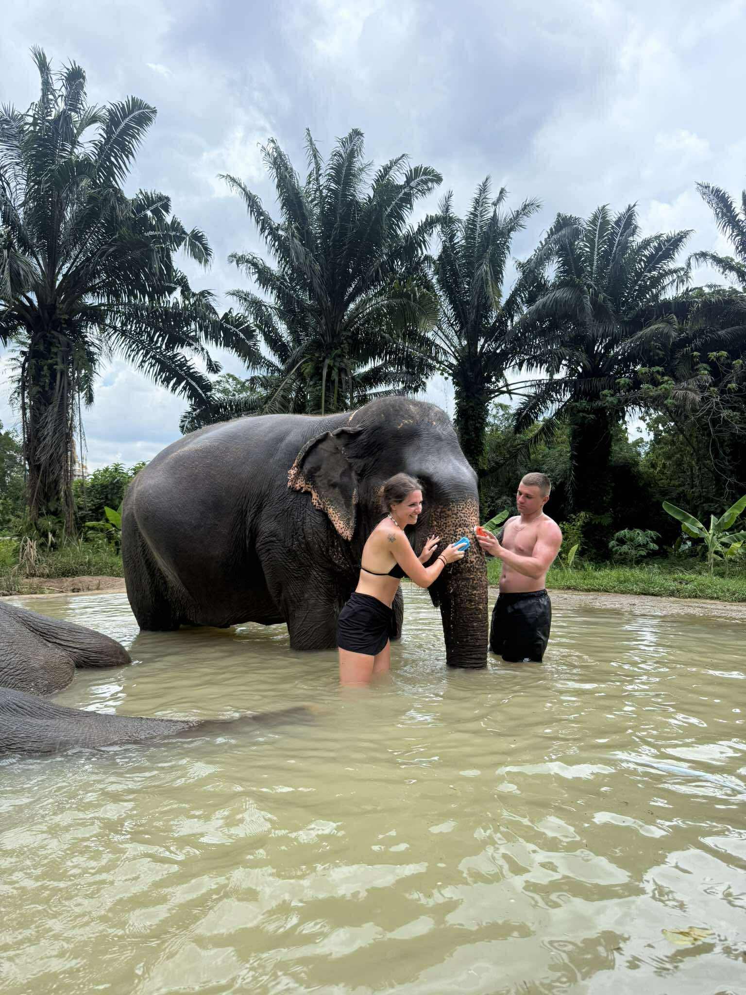 Krabi Tiger Cave Temple & Elephant Green Sanctuary Half-Day Tour