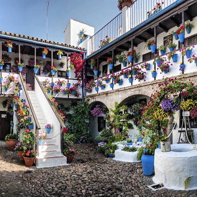 哥多華 (Cordoba) 庭院