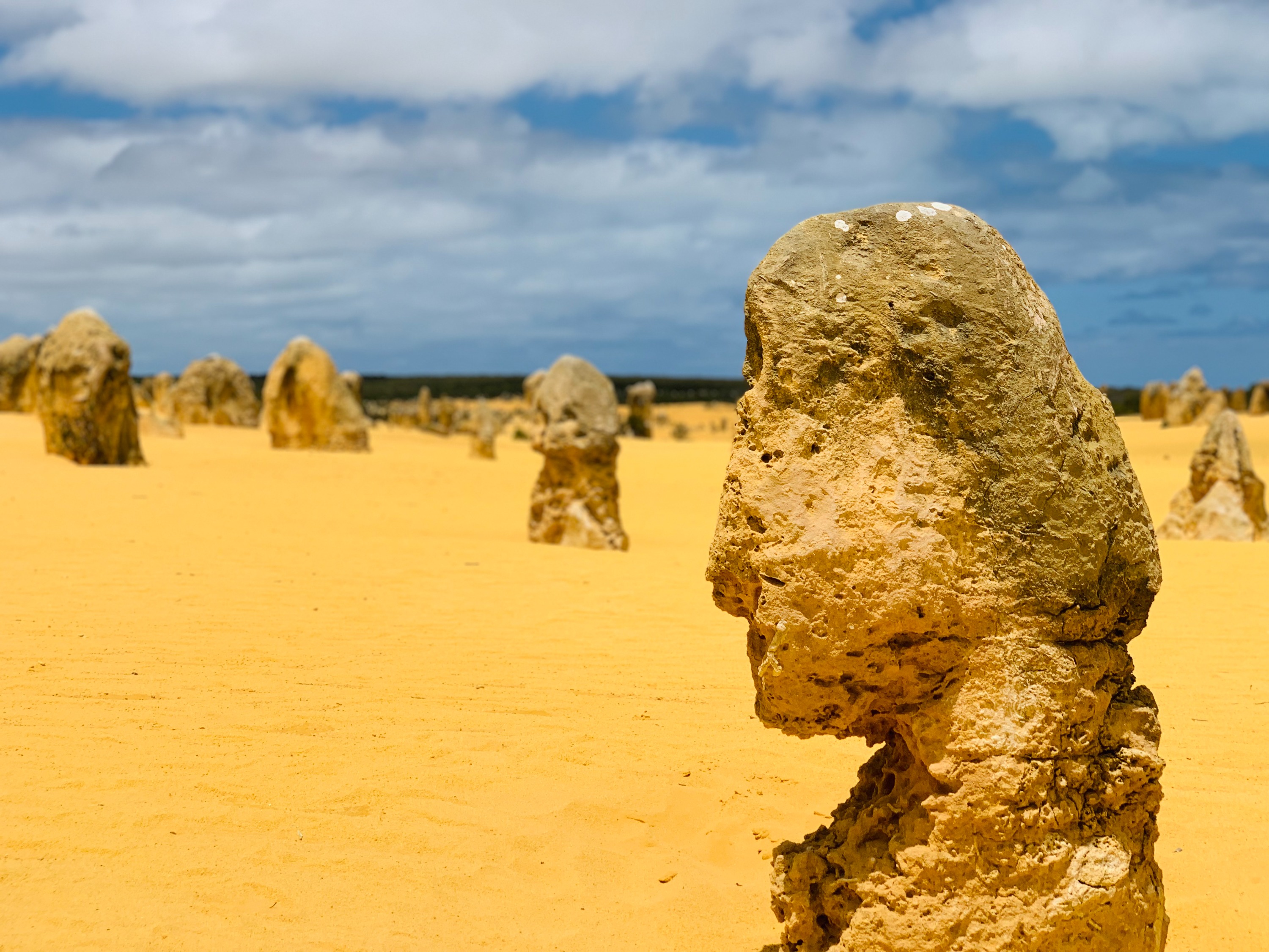 4D3N Pink Lake, Natures Window & Pinnacles Tour