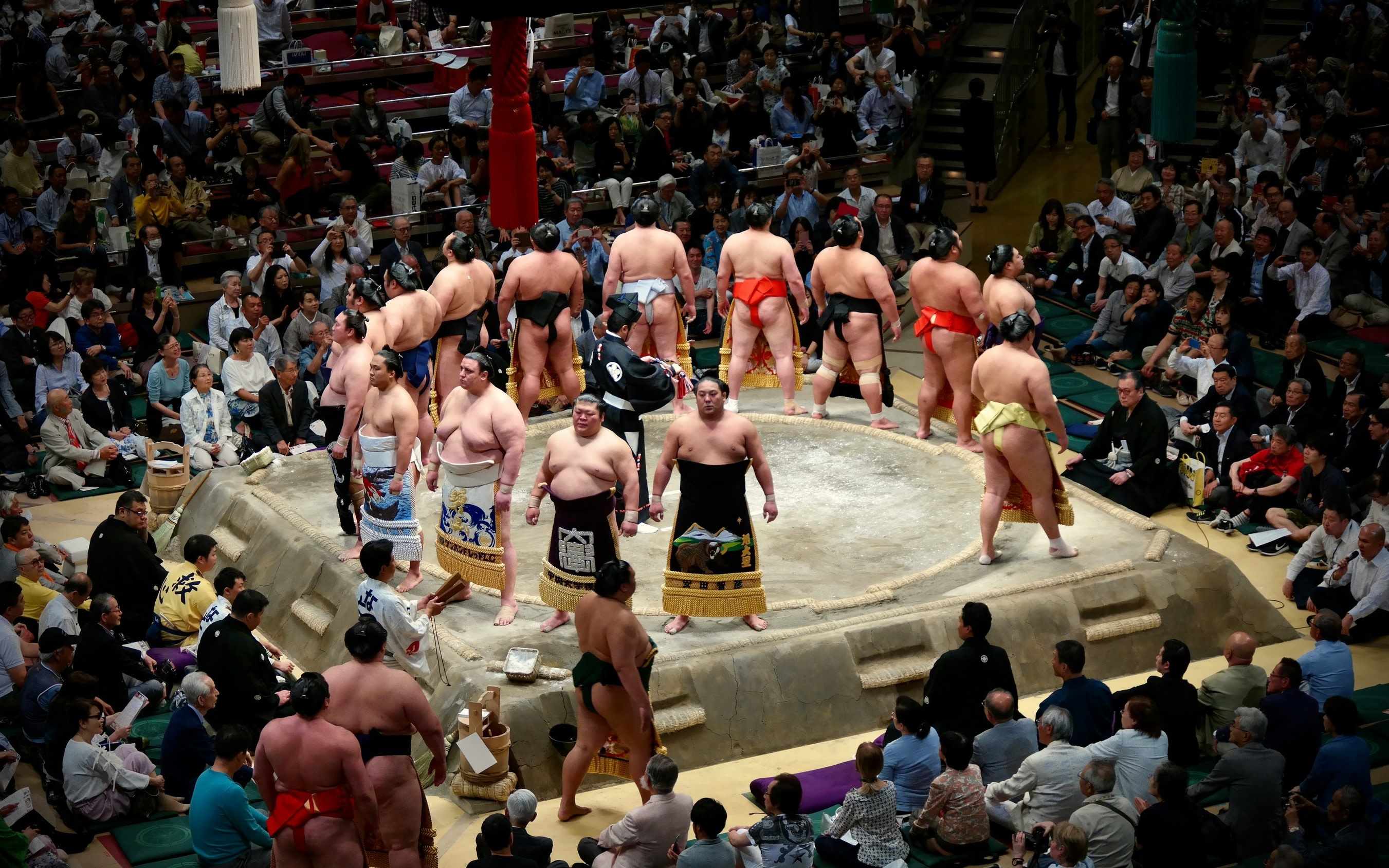 Sumo Training Watching Experience in Tokyo