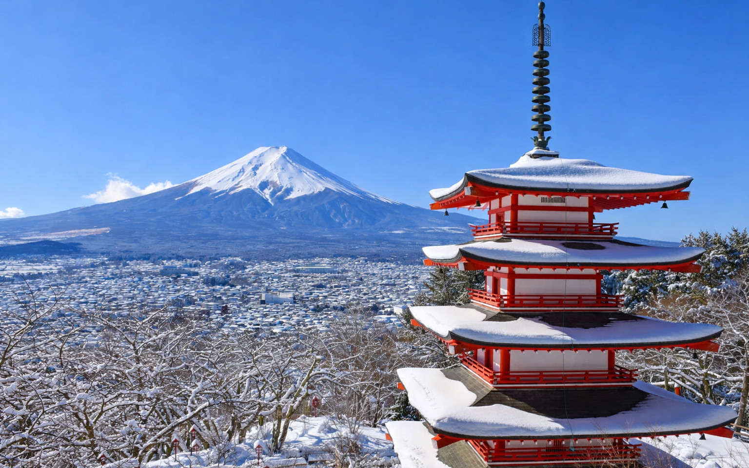 Mount Fuji Winter Day Trip: 5th Station & Lake Yamanaka KABA Sightseeing Boat & Oshino Hakkai & Arakurayama Sengen Park & Nikawa Tokeiten & Lake Kawaguchi Oishi Park & Hakone Pirate Ship (Multiple Routes Available)