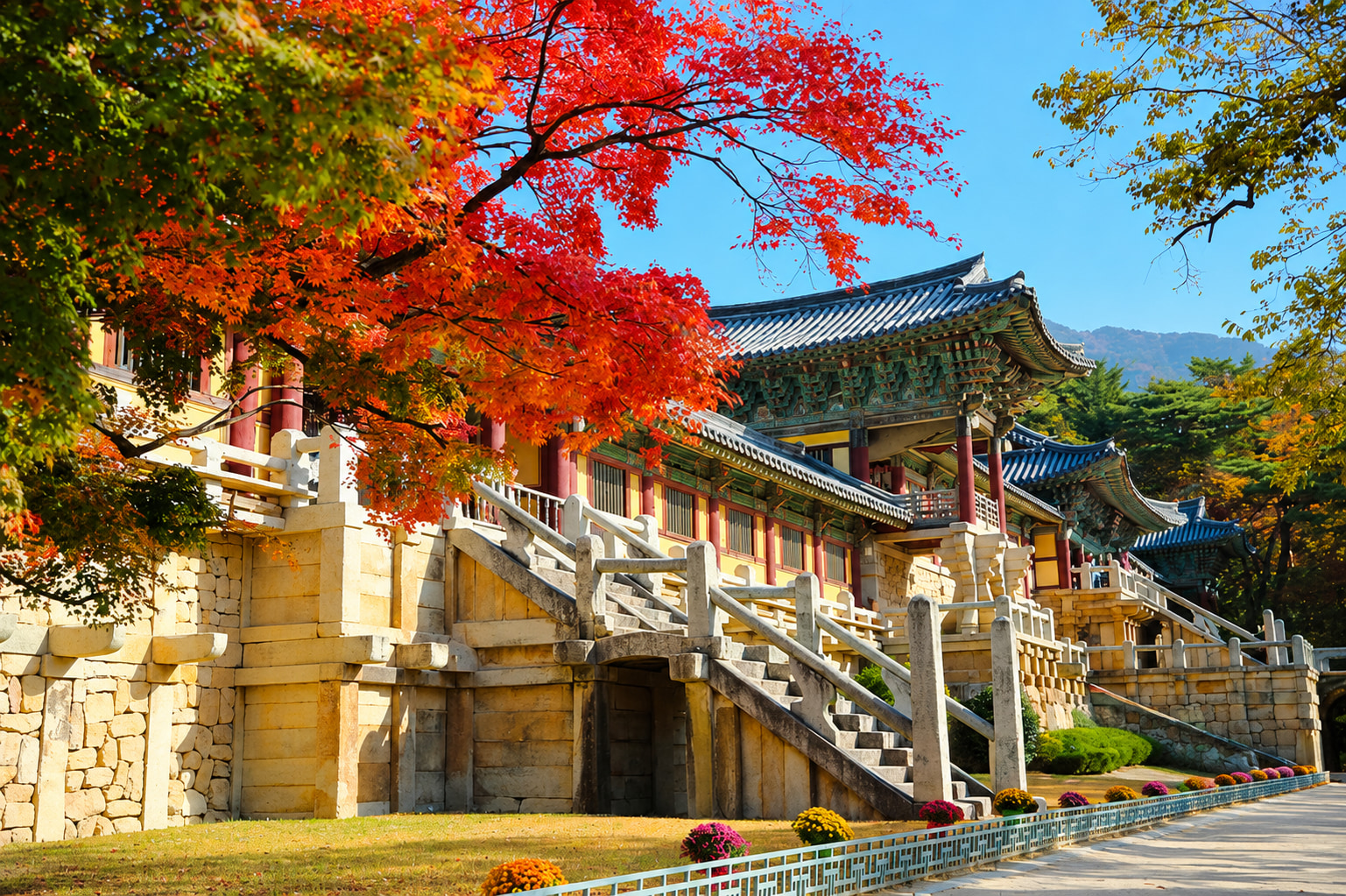 佛國寺：探索佛國寺宏偉的大殿和歷史悠久的石塔，在鬱鬱蔥蔥的森林和晴朗天空的映襯下，欣賞新羅王朝的寧靜和諧與永恆優雅。