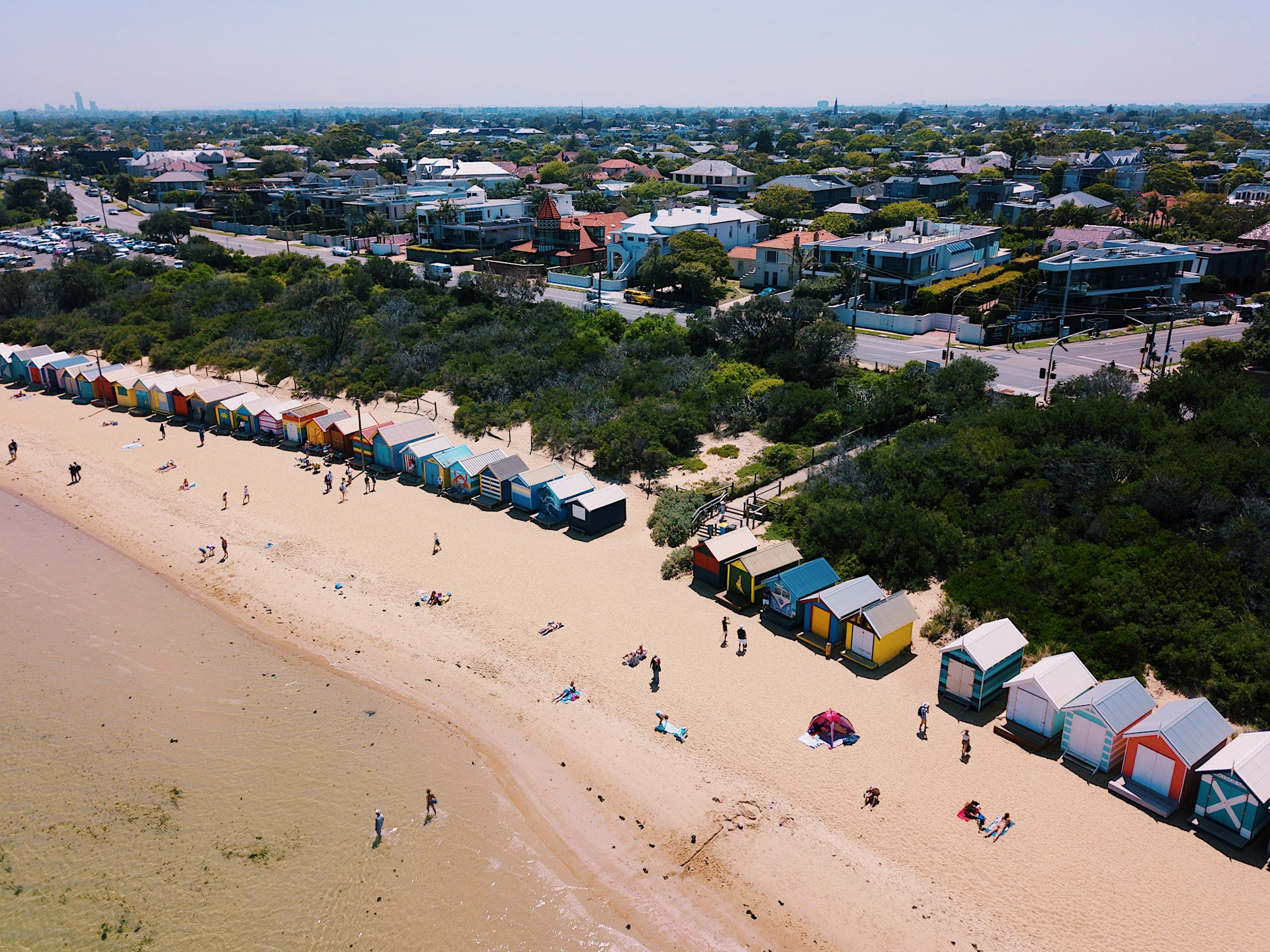 Enjoy nature, history, and wildlife with iconic trains and penguin encounters