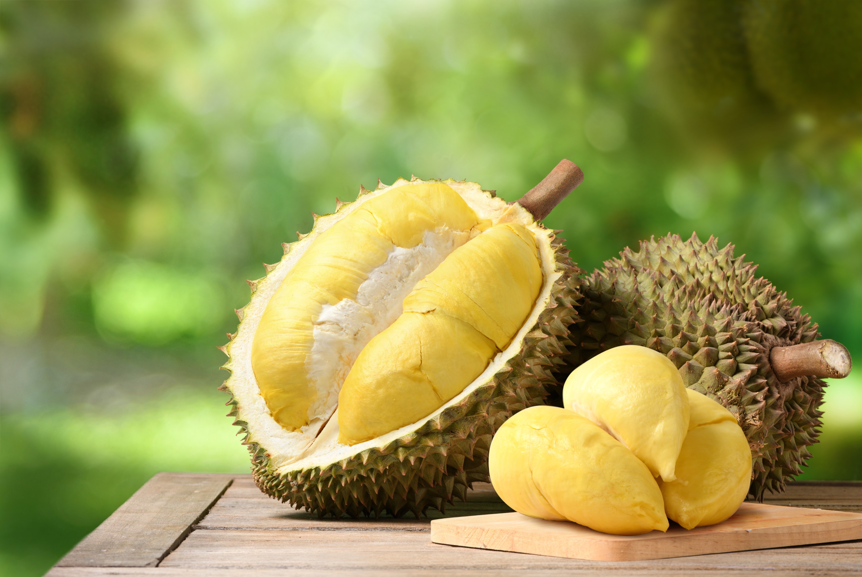 Durian Delight Day Tour