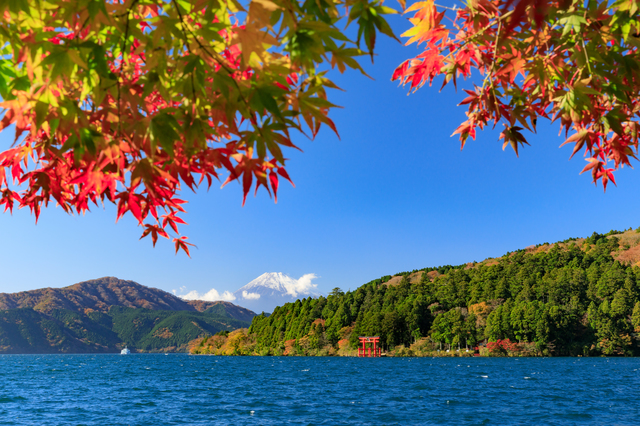 東京出發富士山 & 箱根一日遊（含午餐）