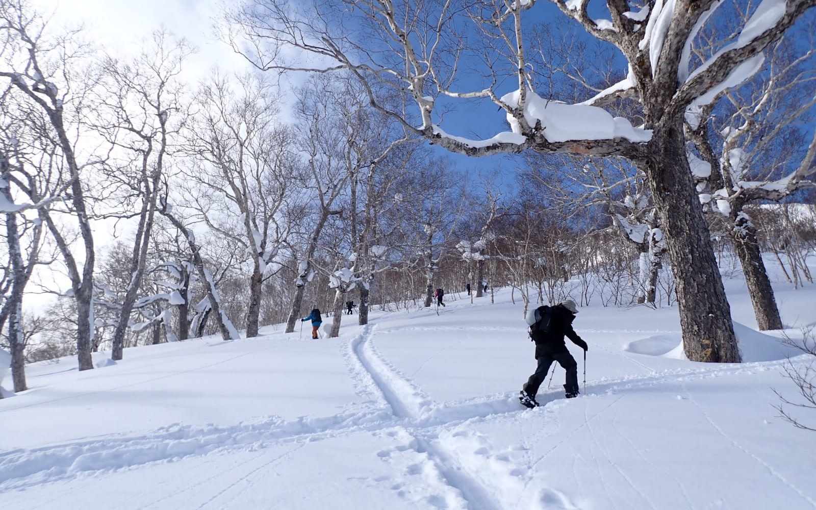 Hokkaido Niseko Private Ski & Snowboard Lessons (Chinese/English)