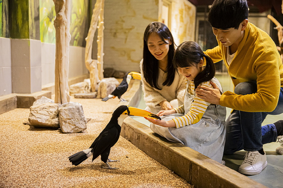 慶州Zoolung Zoolung室內動物主題公園門票