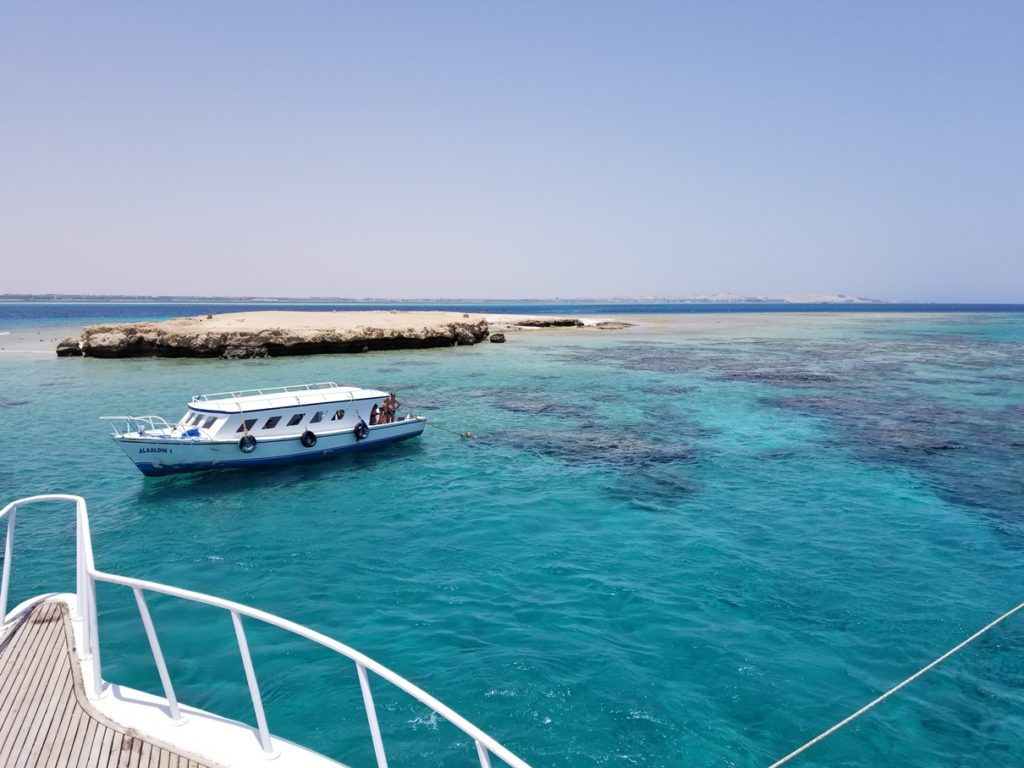 迷人的海豚屋浮潛世界