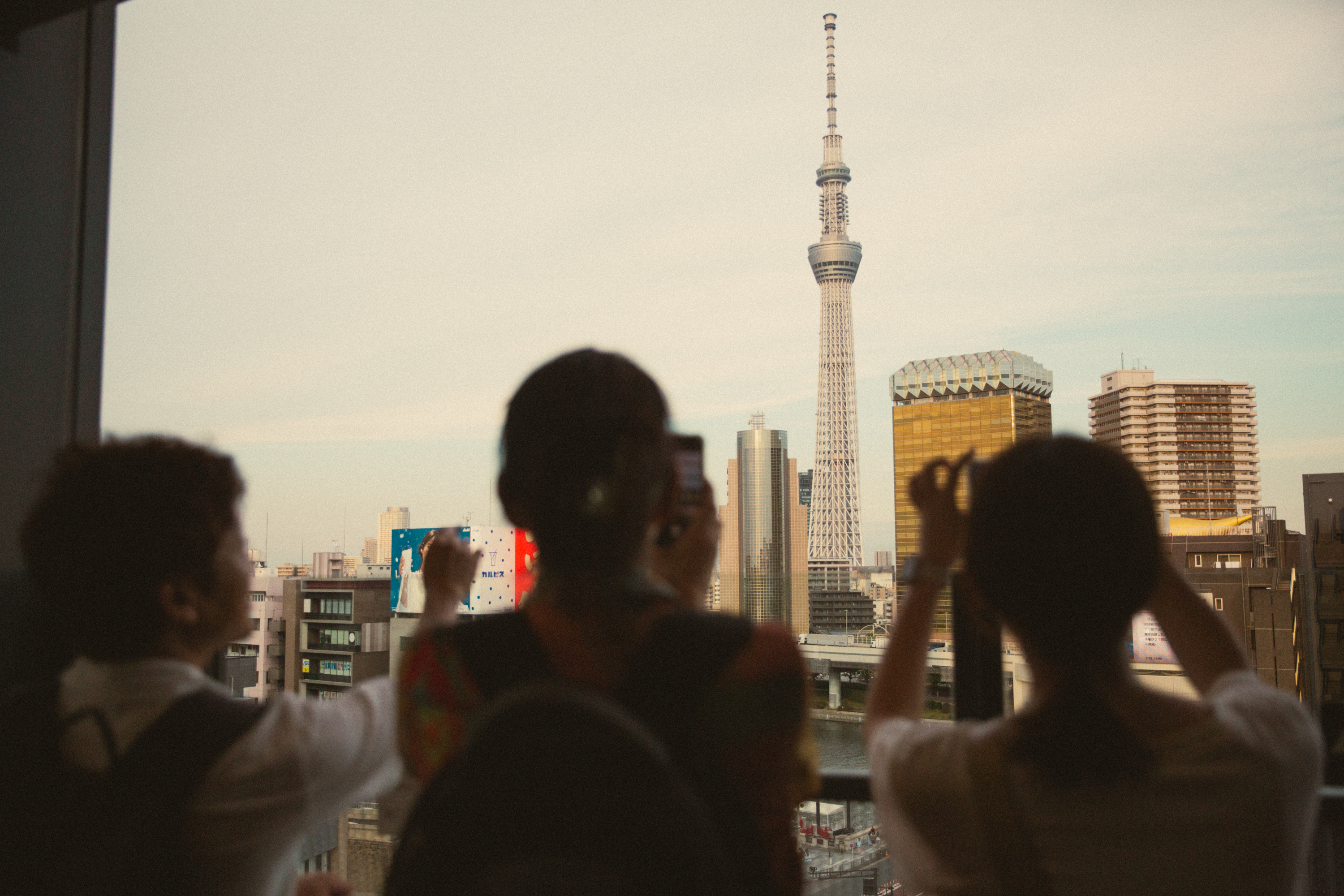 從東京晴空塔飽覽全景,導遊將從高空為您指出歷史地標和隱藏的街區。 從東京晴空塔飽覽全景,導遊將從高空為您指出歷史地標和隱藏的街區。