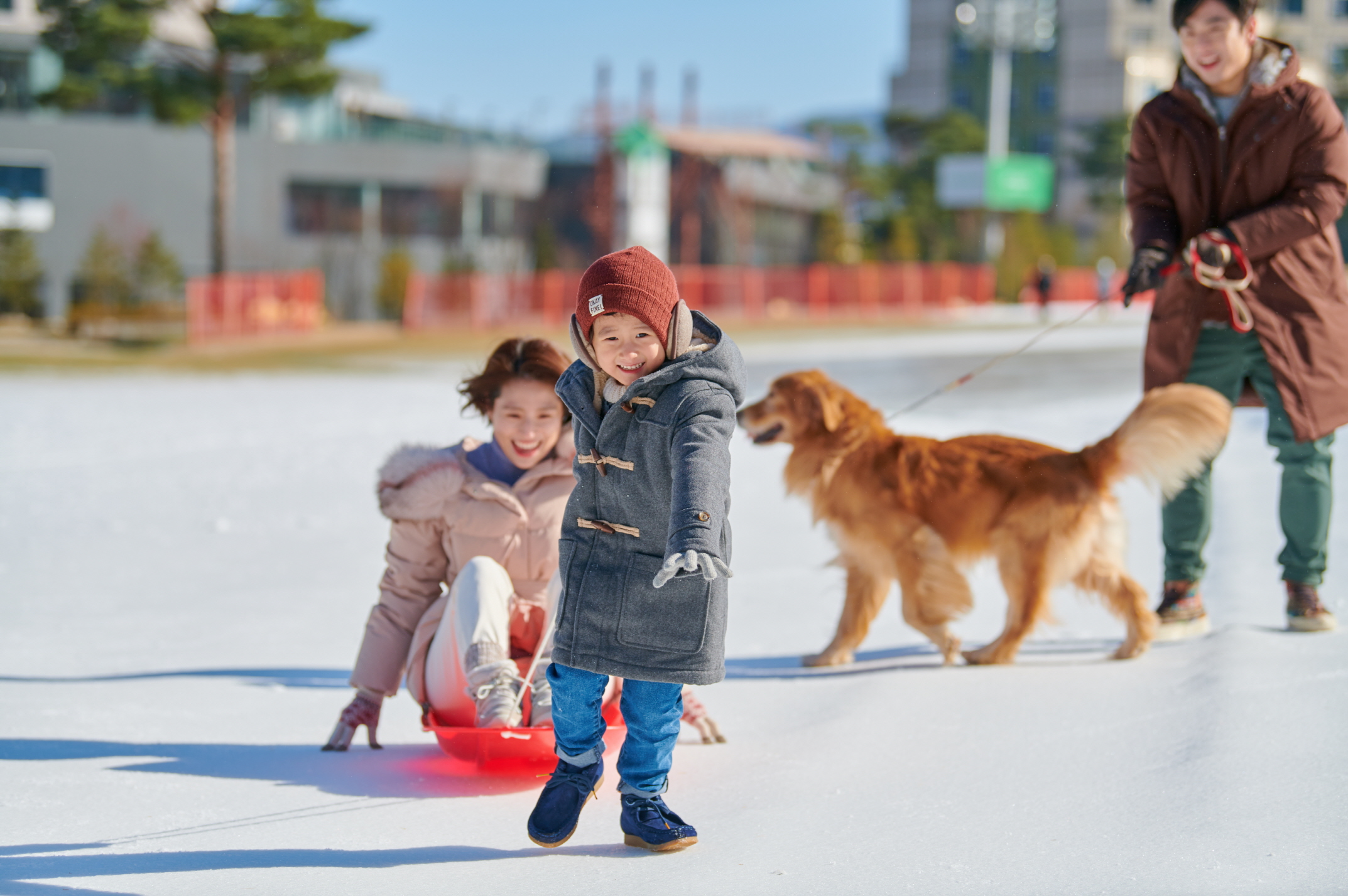 Pyeongchang Olympic Venue: Phoenix Ski/Snowboard Resort 2N1D Tour