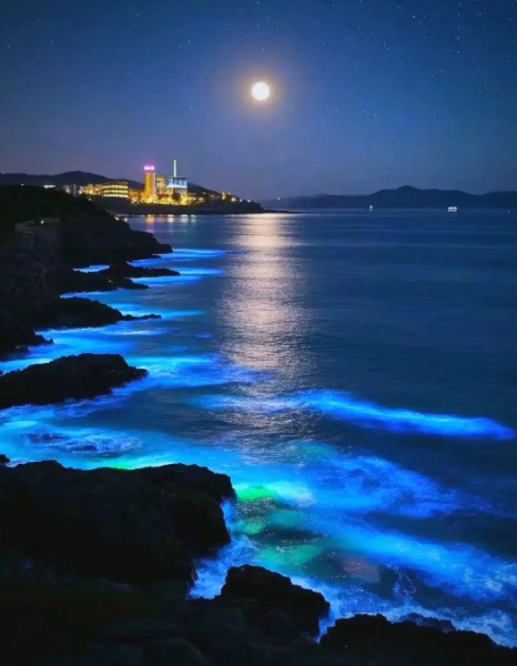 平潭藍眼淚是一種海洋生物發光現象,主要由夜光藻或海螢等浮游生物在受到外界擾動時發出藍色熒光形成。當這些發光生物大量聚集,隨海浪拍打或人為擾動時,海面會呈現夢幻的藍色熒光,宛如繁星墜入大海,形成"熒光海"的奇觀。這種現象在平潭海域4-6月高發,是當地獨特的自然景觀 平潭藍眼淚是一種海洋生物發光現象,主要由夜光藻或海螢等浮游生物在受到外界擾動時發出藍色熒光形成。當這些發光生物大量聚集,隨海浪拍打或人為擾動時,海面會呈現夢幻的藍色熒光,宛如繁星墜入大海,形成"熒光海"的奇觀。這種現象在平潭海域4-6月高發,是當地獨特的自然景觀