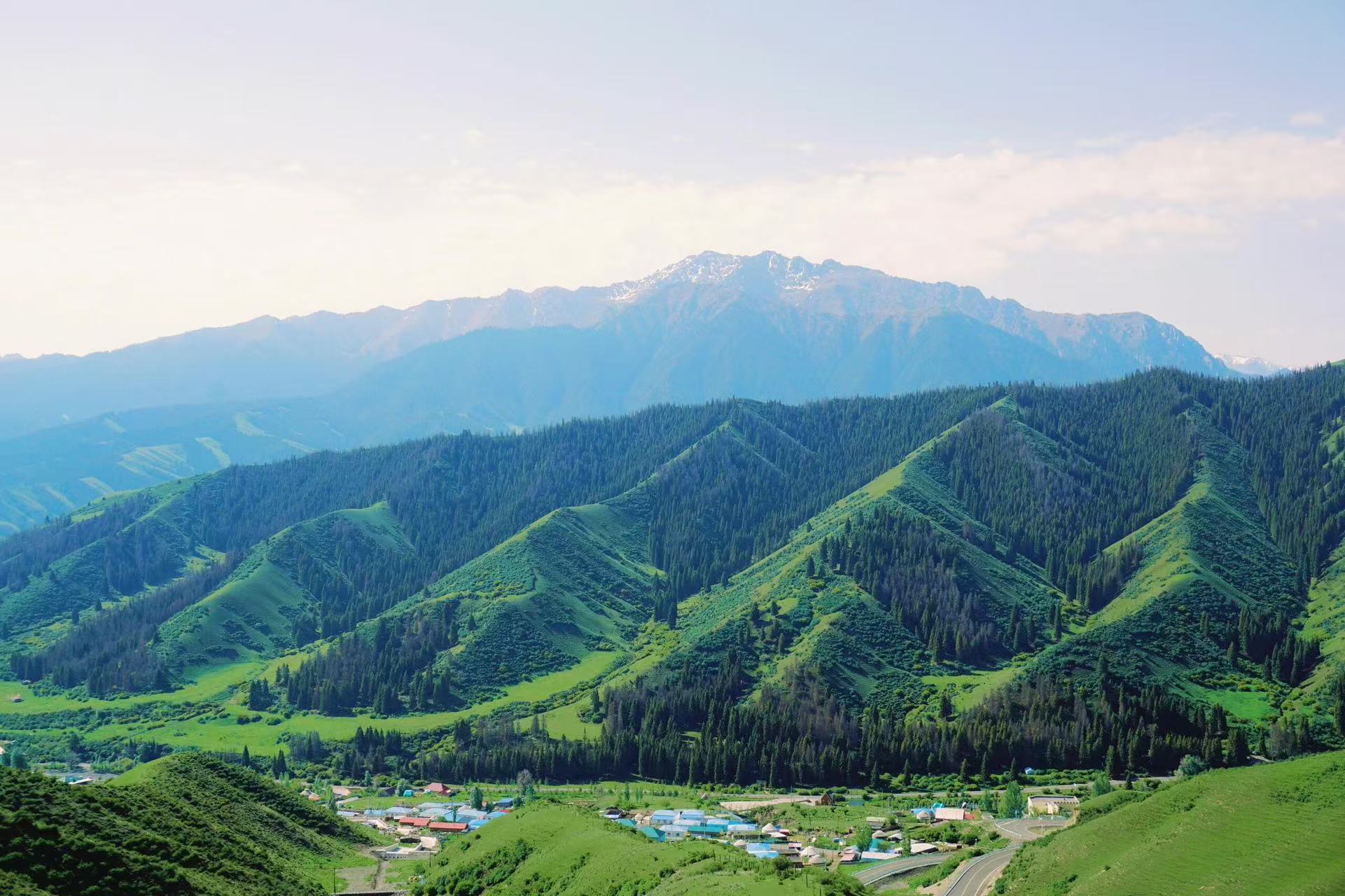 層層青綠山坡遍佈茂密雲杉，褶皺般山巒錯落延伸，遠處雪山覆著薄雪。山坳坐落彩色民居，公路蜿蜒山腳，日光輕灑山林，勾勒出層次豐富的山谷村落畫卷