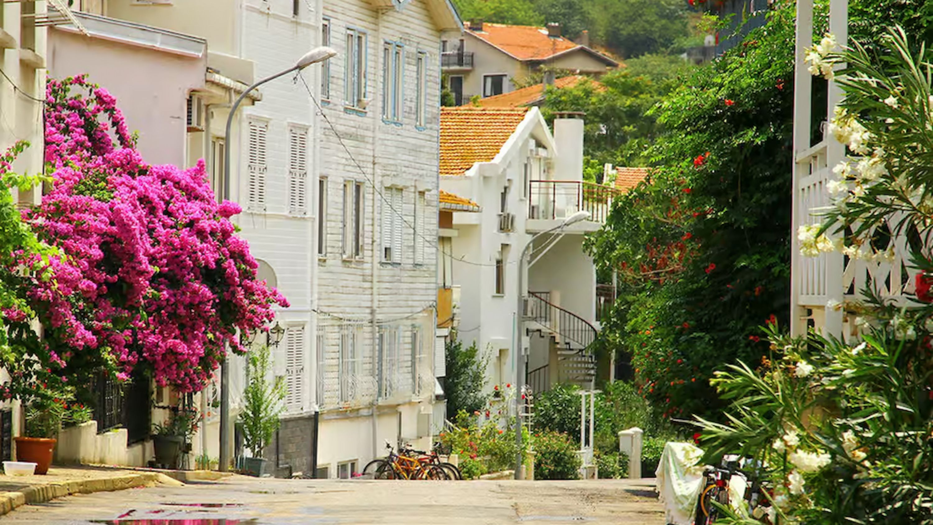 Unwind at public beaches or beach clubs for a sunny escape from the city