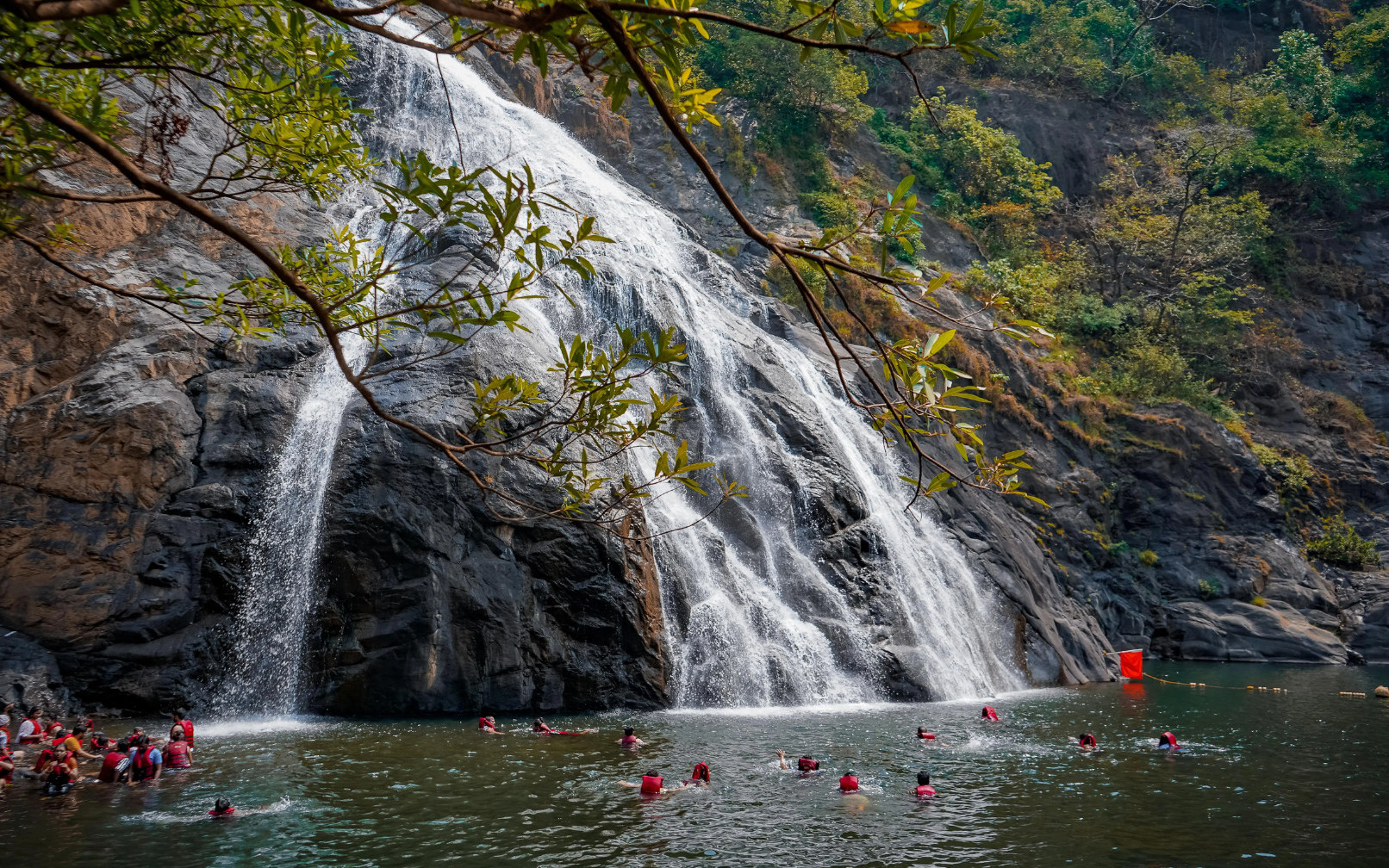 Dudhsagar: Waterfall & Jeep Safari Day Trip