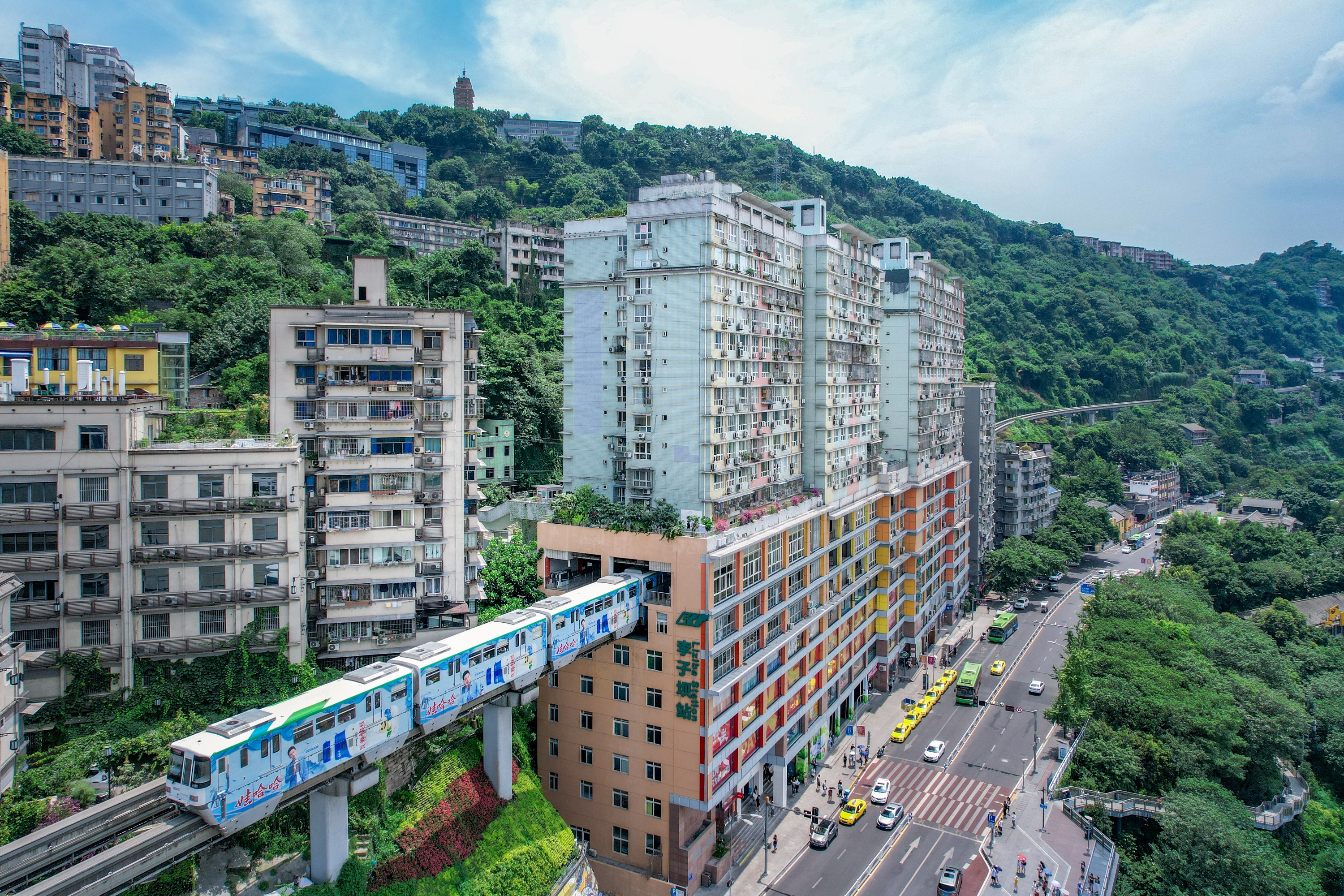Chongqing North Railway Station, Guanyinqiao, Liziba, and Hongyadong Private Car Day Tour