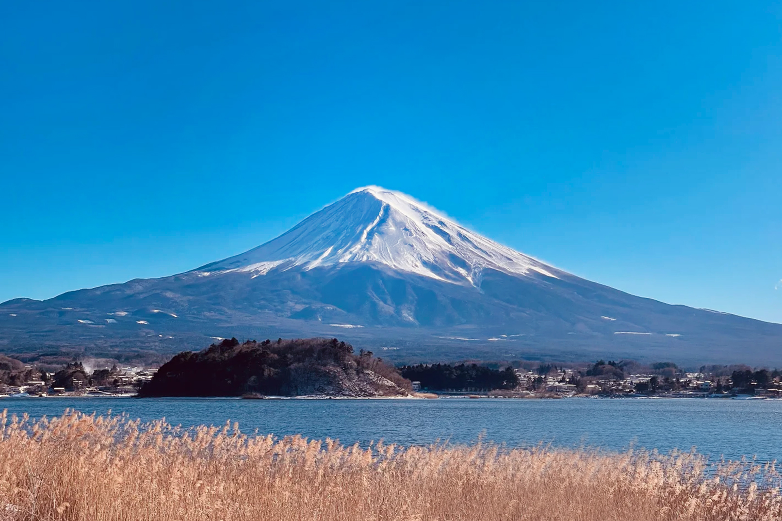 大石公園的冬季：這是一場靜謐而詩意的等待。當湖面凝結成冰，蘆葦搖曳著毛茸茸的穗子，整個世界都慢了下來。