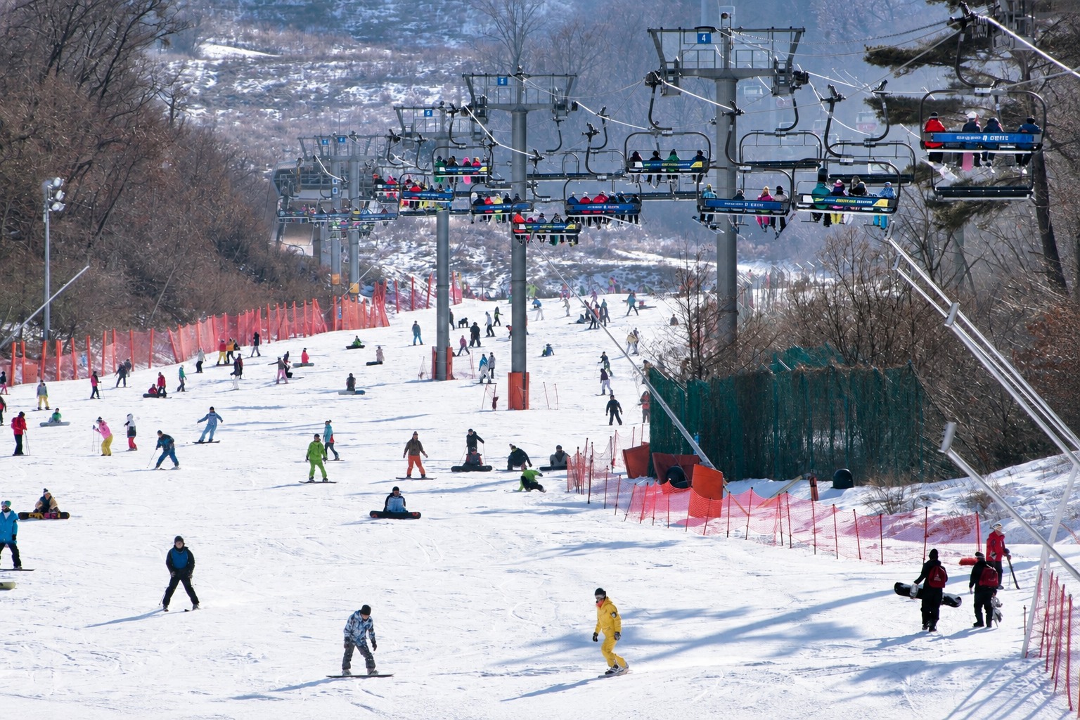 搭乘可選的纜車，將白雪皚皚的山脈全景盡收眼底。
