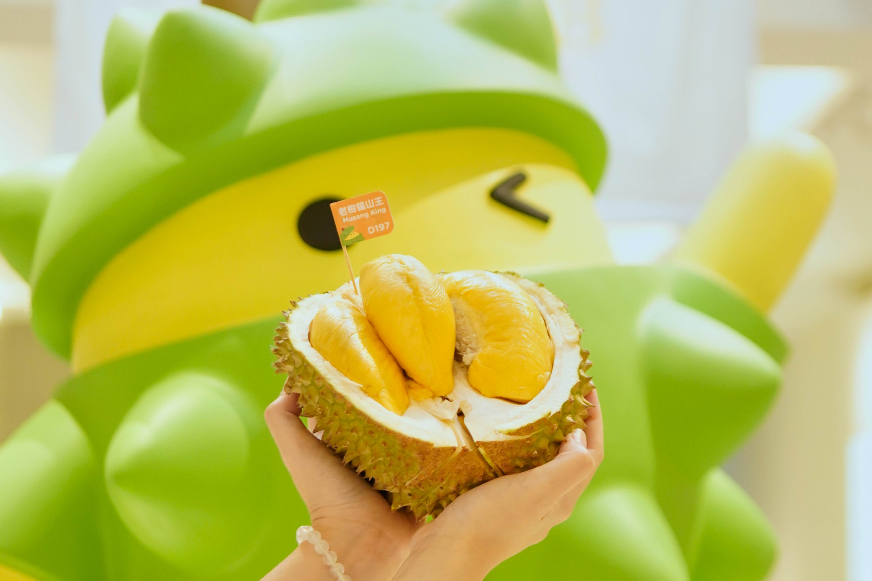 DurianBB World Tickets in Kuala Lumpur 