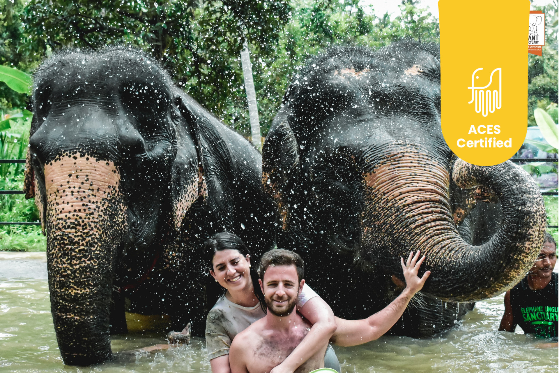Elephant Jungle Sanctuary Experience in Koh Samui