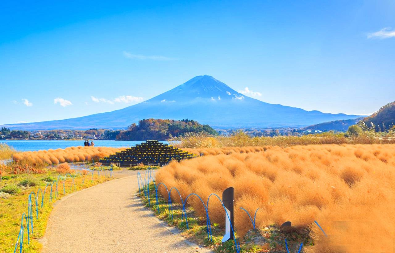 網紅打卡勝地-新倉山淺間公園&日川時計店&忍野八海&河口湖大石公園&河口湖楓葉迴廊