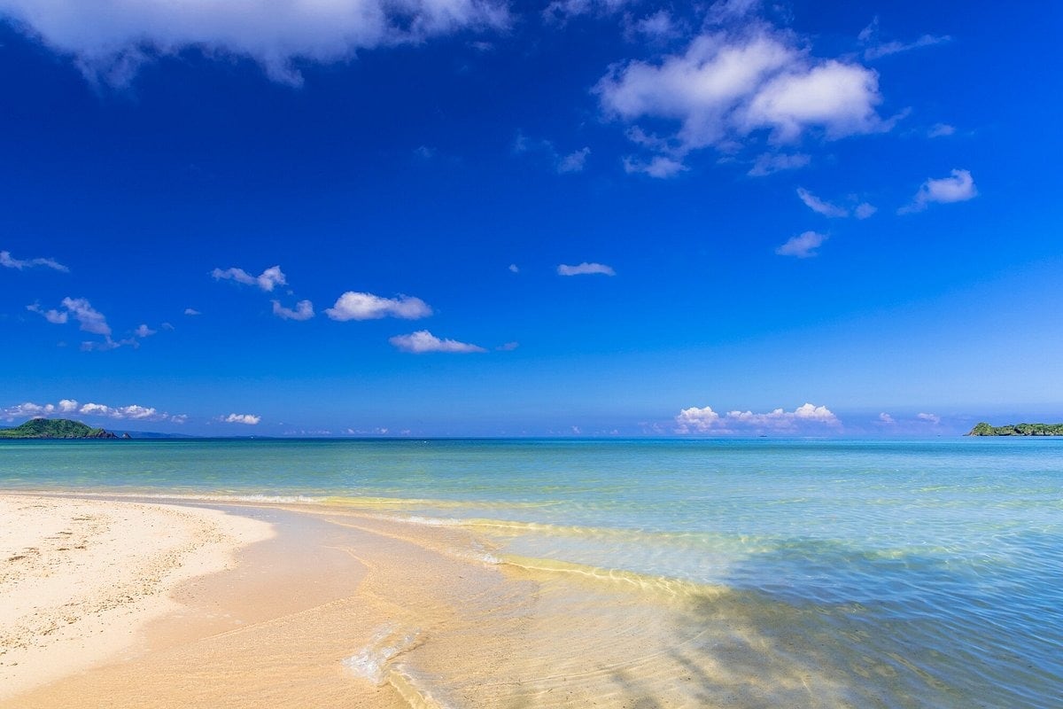 [Okinawa Ishigaki Island Day Tour] Lunch included, 3 boarding points to choose from