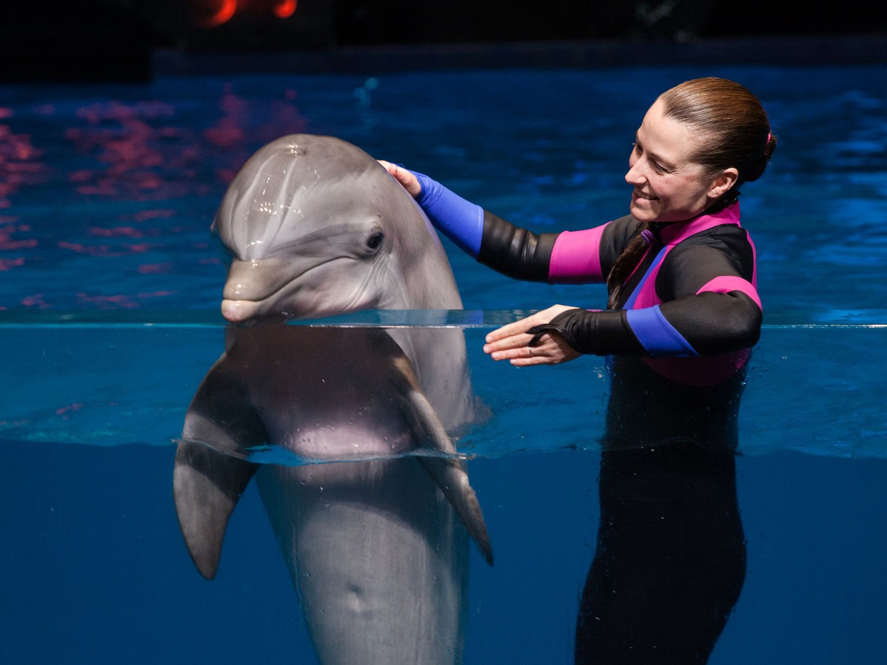 亞特蘭大佐治亞水族館門票