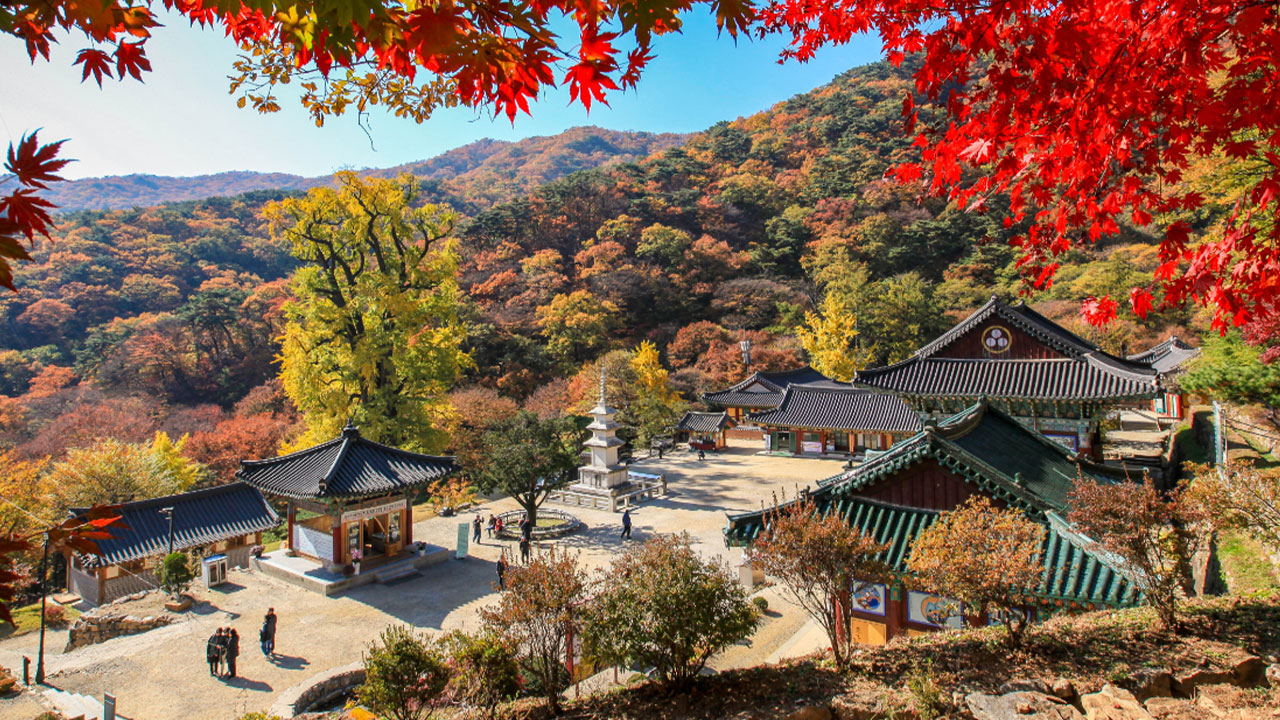秋天以寺廟周圍的繽紛紅葉而聞名。